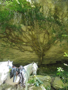 France-Provence-French Colorado Provence Ride